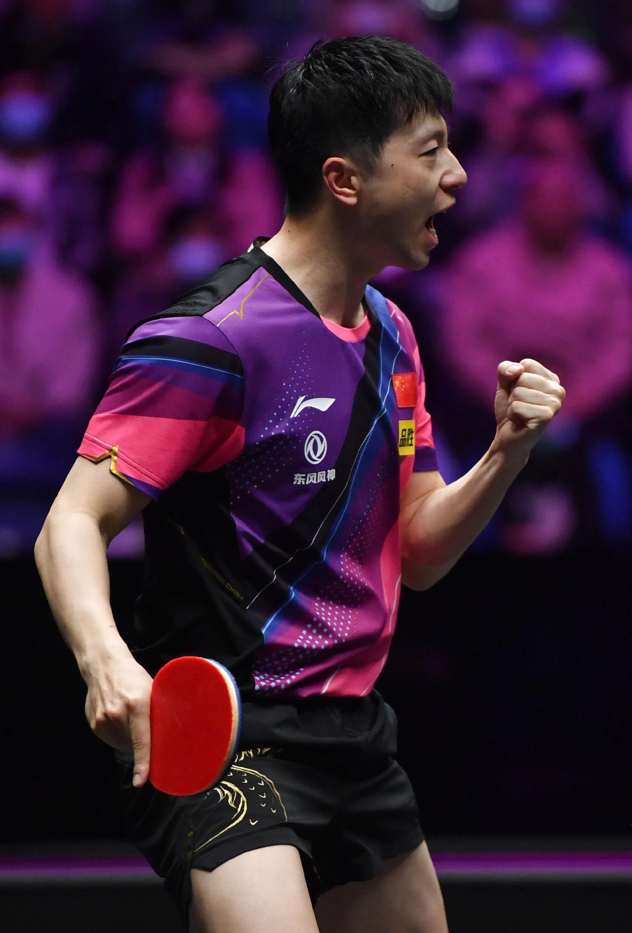 日本乒乓球队翻盘瑞典乒乓球队，马龙惊艳世界的简单介绍