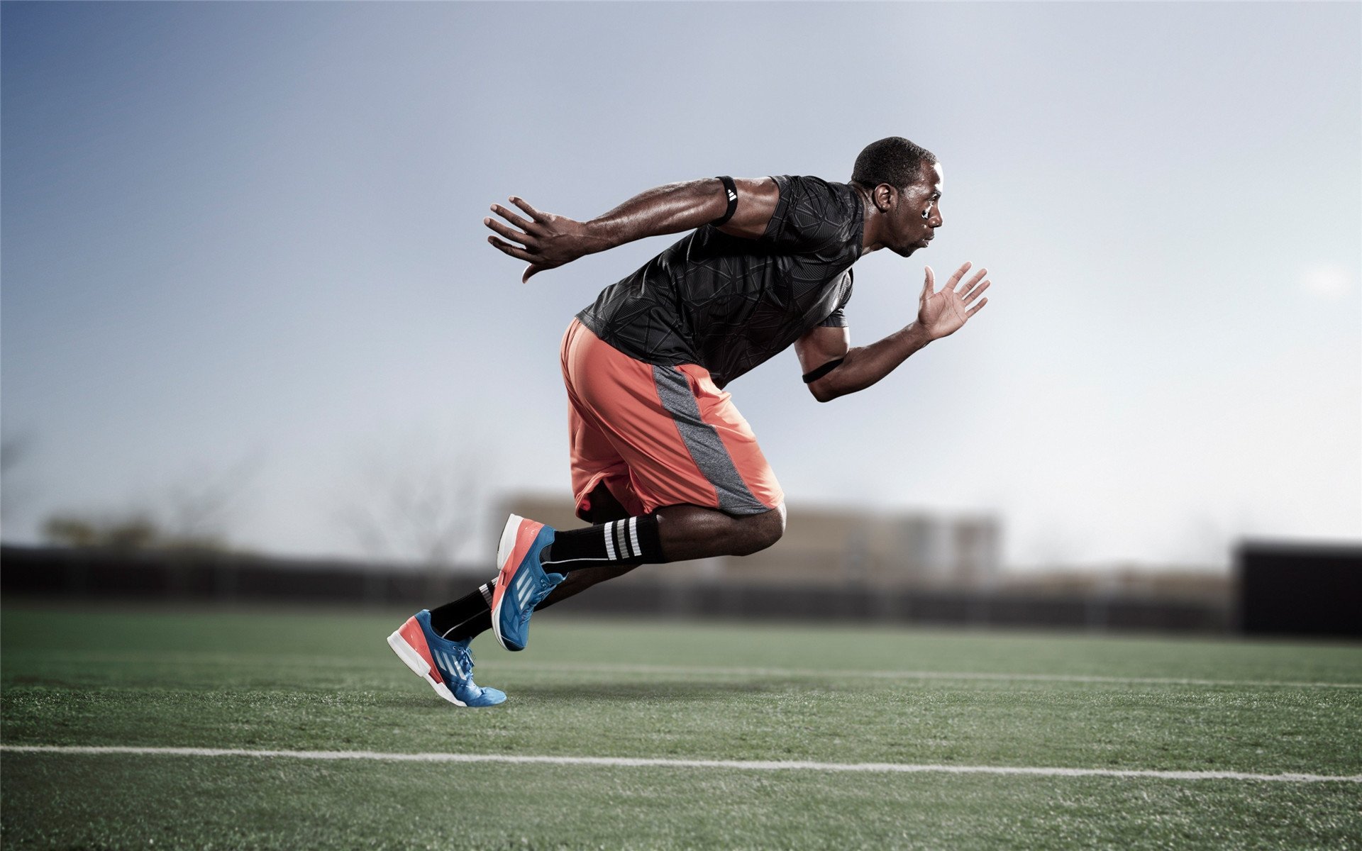 跨越赛场的统治力,从霍勒迪欧冠神迹到辽宁男篮的团队完胜