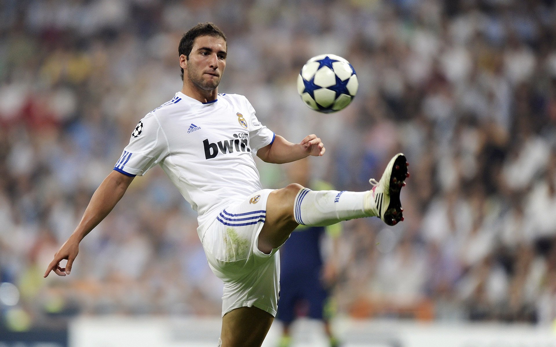 绿茵场与羽毛球场上的双重统治，德国铁血横扫丹麦，陈雨菲优雅掌控全场